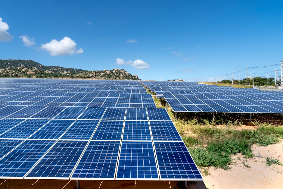 Énergies renouvelables pour les entreprises : le vrai calcul entre solaire et éolien